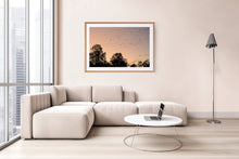 Load image into Gallery viewer, Fine art photographic print of cockatoos near the Murray River at sunset. Australian oak frame. Displayed in apartment living room.
