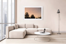 Load image into Gallery viewer, decor for you apartment. Fine art photographic print of cockatoos near the Murray River at sunset. White frame.
