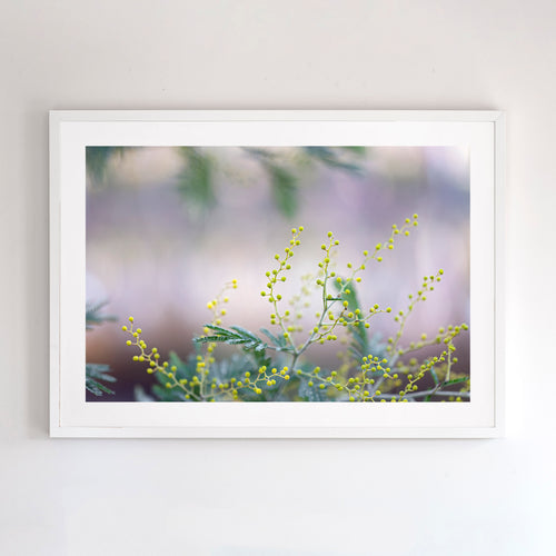 Fine art photographic print of a lagoon (mulwala) in Murray River region. White timber frame.