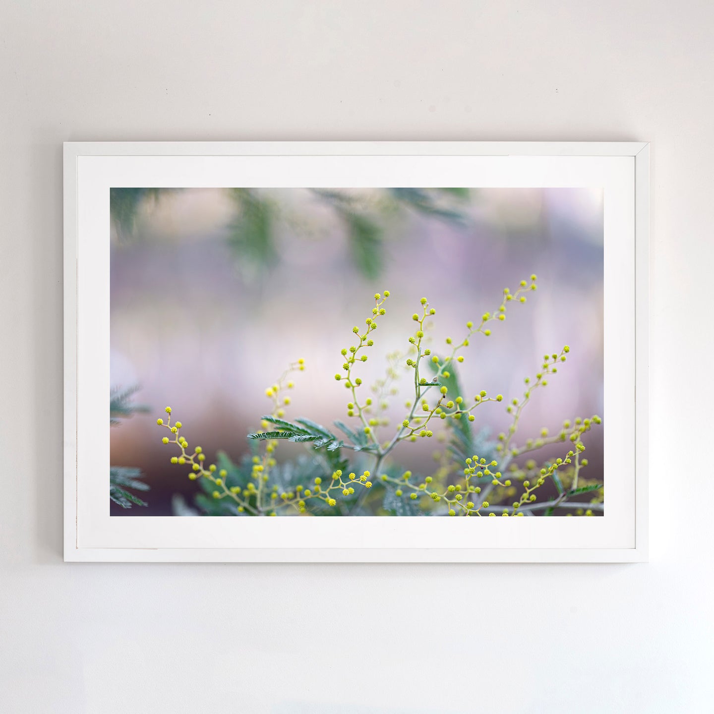 Fine art photographic print of a lagoon (mulwala) in Murray River region. White timber frame.