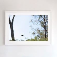 Load image into Gallery viewer, Fine art photograph of Murray region, NSW. Fine art prints come with several frames options: oak, white and black. Or choose the “unframed” option to mount in your own frame.
