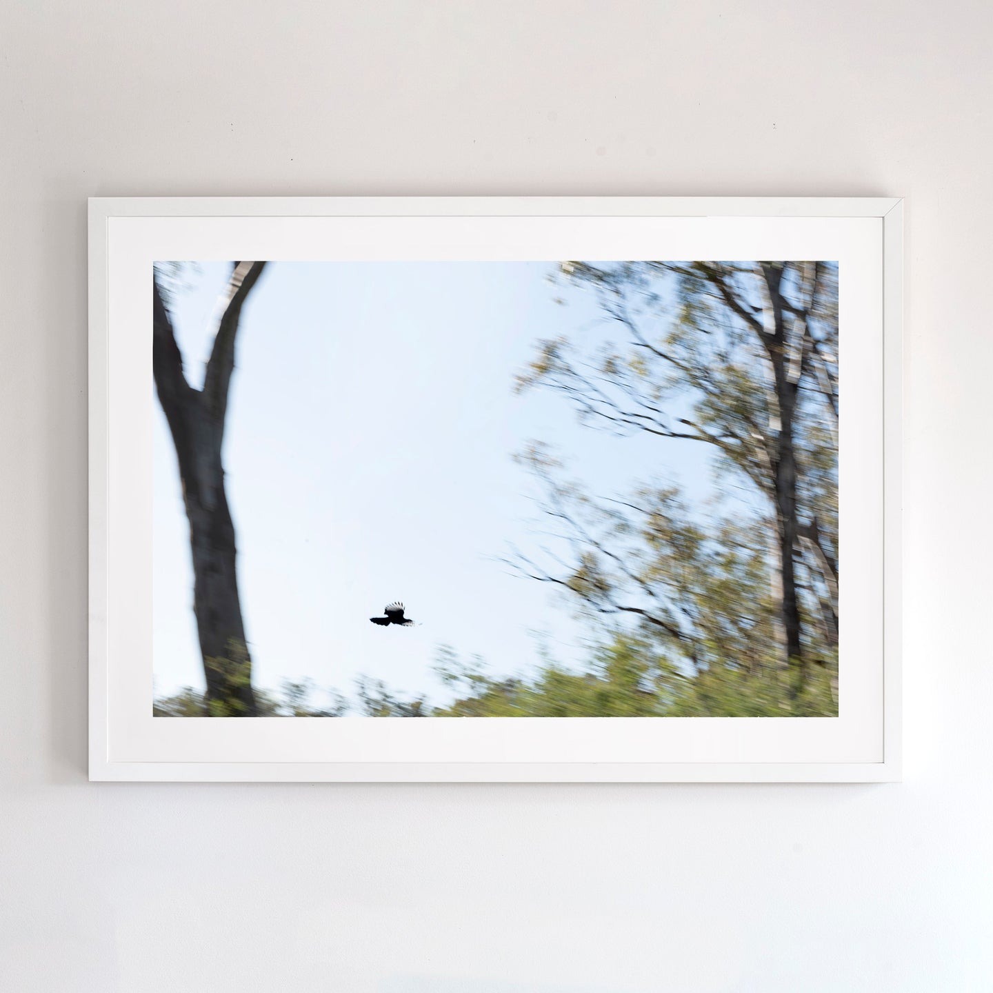 Fine art photograph of Murray region, NSW. Fine art prints come with several frames options: oak, white and black. Or choose the “unframed” option to mount in your own frame.