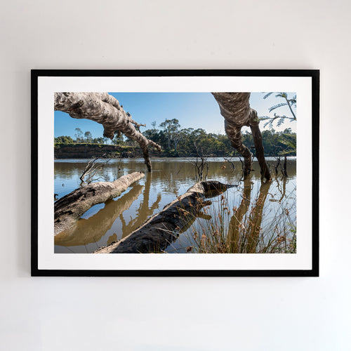 Kergunyah - silent place. Shown here in black frame, this fine art print has a peaceful, yet dramatic feel.