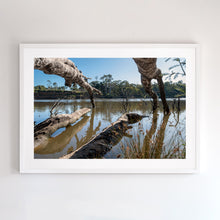 Load image into Gallery viewer, Kergunyah - silent place. Shown here in a white frame, this fine art print is available to purchase.
