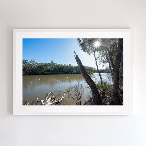 Landscape wall art showing Murray River, Austalia