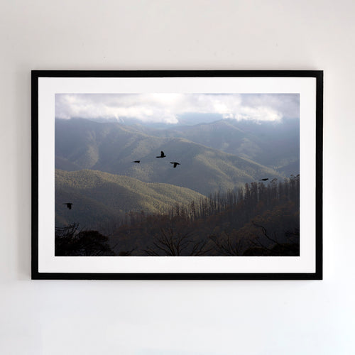 Ngarrak - Mount Buller mountain fine art