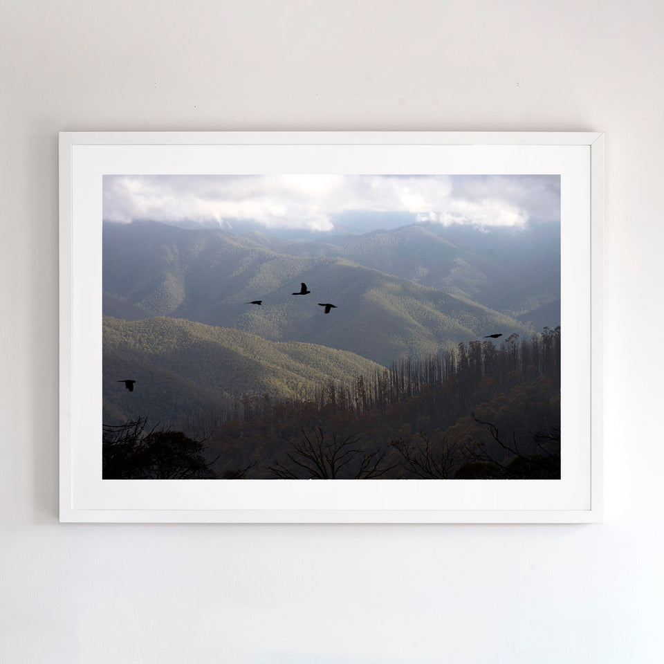 Fine art photograph of Mount Buller, looking towards The Bluff, with an Australian made white frame.