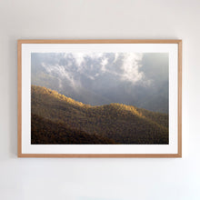 Load image into Gallery viewer, Wall art for you apartment. 
