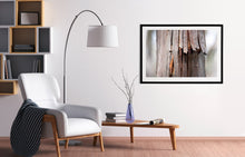 Load image into Gallery viewer, Yalin I
