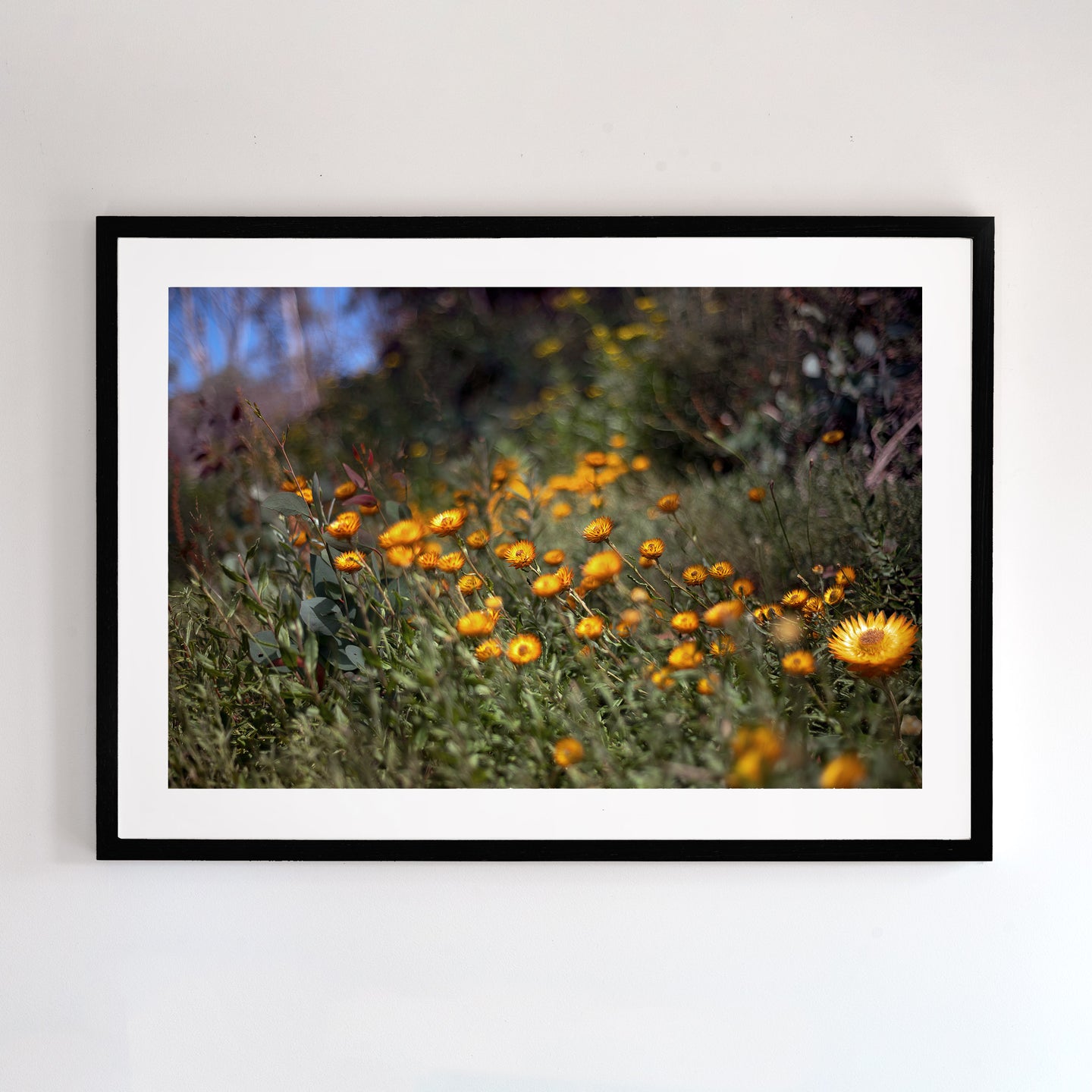 Photographic wall art, Mount Buller, Victoria, with a black frame. Browse to find a frame and photo combination that suits your decor.