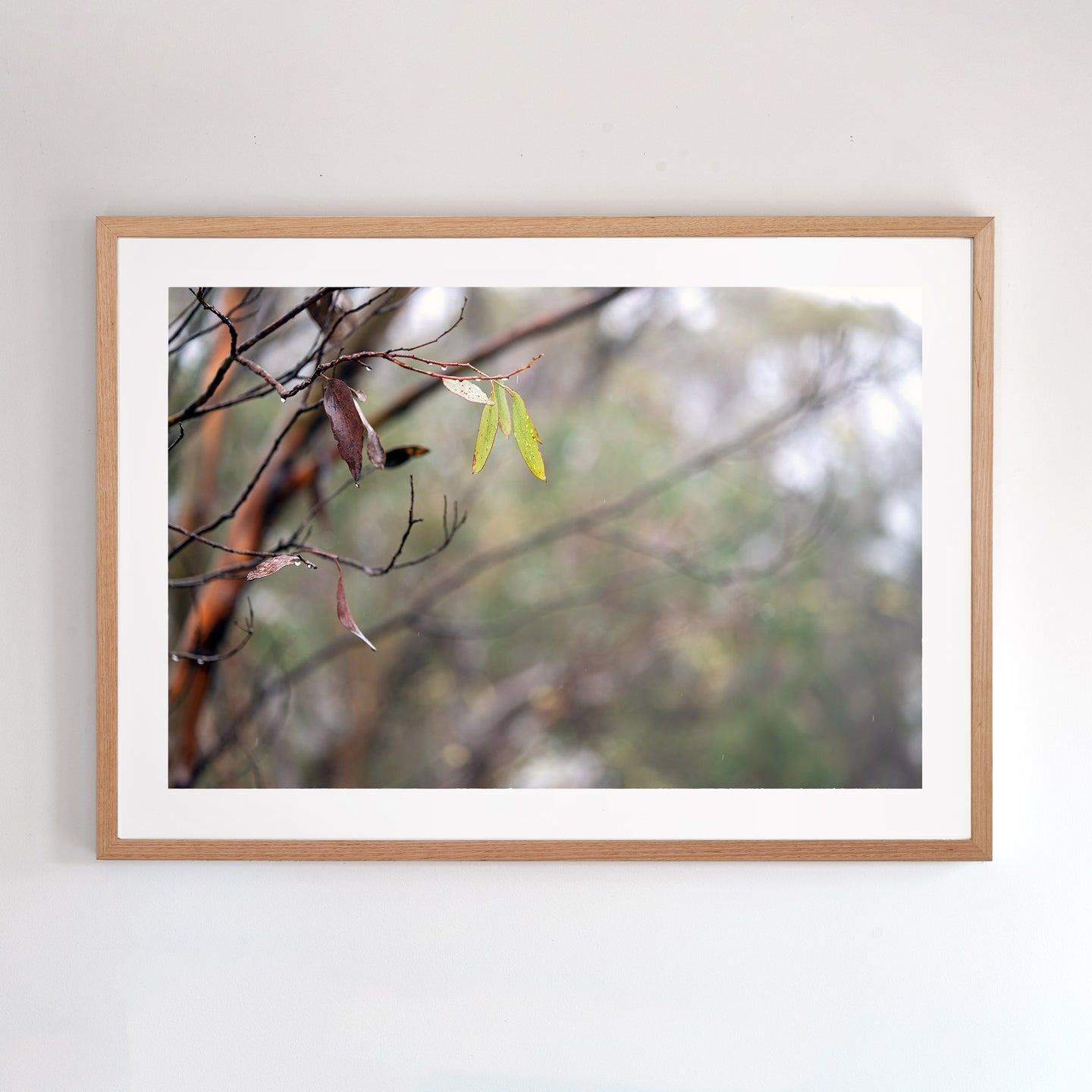 macro, fine art print. Oak frame