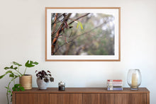 Load image into Gallery viewer, Aussie bush, Austalian oak framed fine art print. Mount Buller, Victoria
