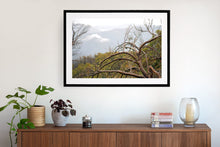 Load image into Gallery viewer, Wall hung print. Framed in black timber
