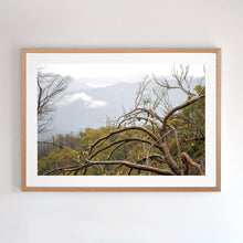 Load image into Gallery viewer, Photographic wall art for you home. Framed in Australian oak.
