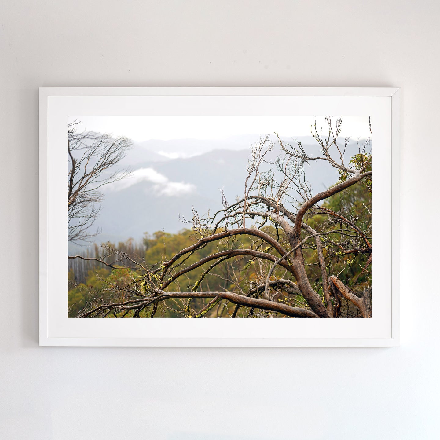 Photographic wall art for you home.