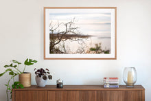 Load image into Gallery viewer, Photographic wall art,  clifftop in San Remo, near Phillip Island Victoria, with an Australian oak frame. Browse to find a frame and photo combination that suits your living space. 
