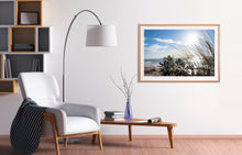 Load image into Gallery viewer, Photographic wall art for you home or office space.
