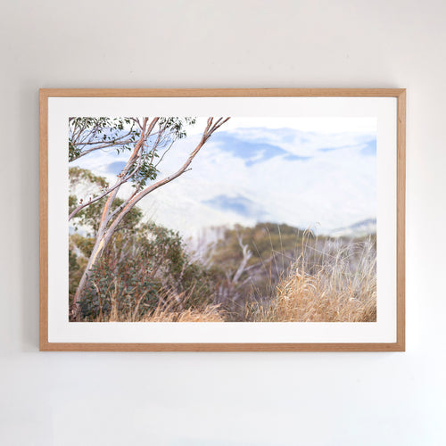 This fine art photograph was taken in Mount Buller, Victoria. It comes with three frames options: oak, white or black. Or choose the “unframed” option to mount in your own frame.