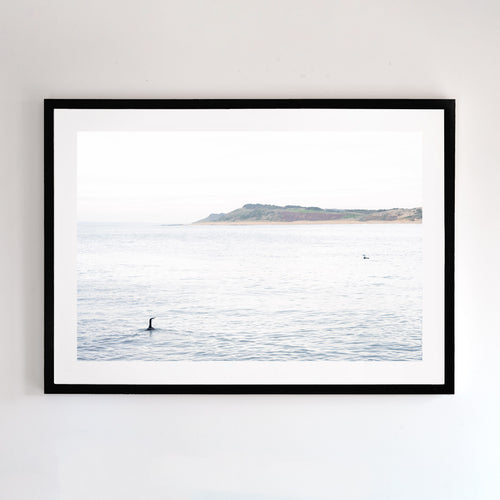 Cat Bay Phillip Island Victoria, fine art photographic framed print