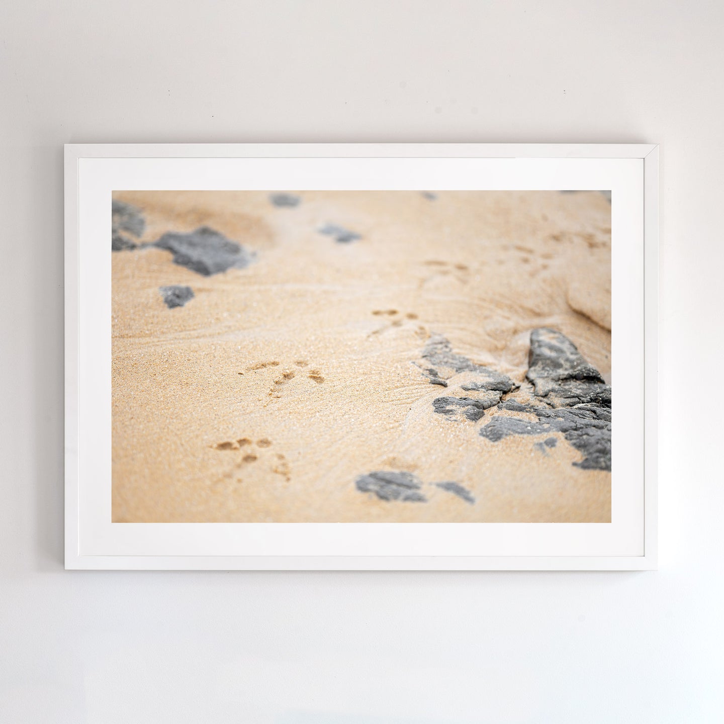 Photographic fine art print, footprints at Cat Bay, Phillip Island, Victoria, with a white frame. Browse to find a frame and photo combination that suits your decor. 