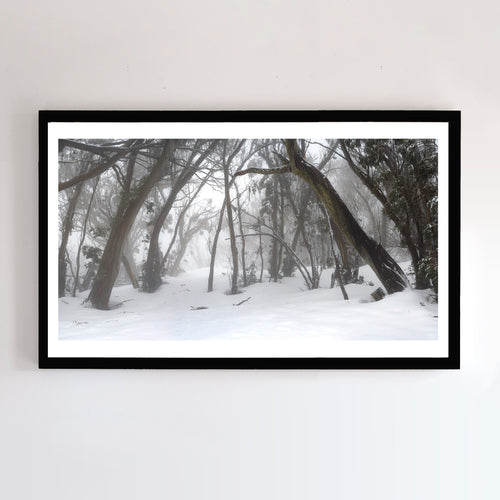 This Panoramic fine art photograph of Mount Buller comes with three frames options: Oak, white or black. Or choose the “unframed” option to mount in your own frame.