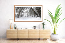 Load image into Gallery viewer, Panoramic fine art photograph of Mount Buller, with an Australian made, oak frame. Browse to find a frame and photo combination that suits your living space. 
