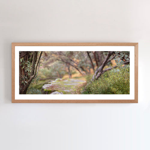 Photographic wall art, Panorama showing Mount Buller, Victoria,  depicting Autumn hues, with an Australian oak frame. Browse to find a frame and photo combination that compliments your living space. 