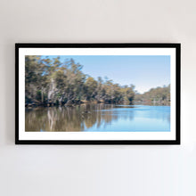 Load image into Gallery viewer, Fine art print by Wayne MItchell. This Panoramic fine art photograph of a black swan on Murray River comes with three  frames options: Oak, white or black. Or choose the “unframed” option to mount in your own frame.
