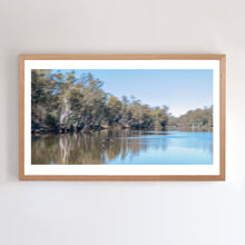 Load image into Gallery viewer, Fine art print by Wayne MItchell. This Panoramic fine art photograph of a black swan on Murray River comes with three  frames options: Oak, white or black. Or choose the “unframed” option to mount in your own frame.
