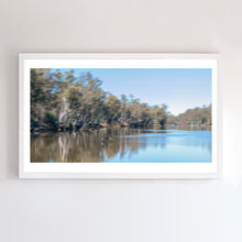 Load image into Gallery viewer, Fine art print by Wayne MItchell. This Panoramic fine art photograph of a black swan on Murray River comes with three  frames options: Oak, white or black. Or choose the “unframed” option to mount in your own frame.
