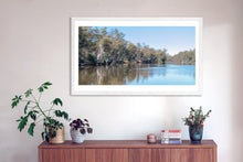 Load image into Gallery viewer, This Panoramic fine art photograph of a black swan on Murray River includes camera movement to creat and Impressionist style. The fine art print comes with three frames options: Oak, white or black. Or choose the “unframed” option to mount in your own frame.
