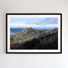 Load image into Gallery viewer, Photographic fine art print of Little Buller.
