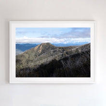 Load image into Gallery viewer, Photographic wall art of Little Buller with white timber frame.
