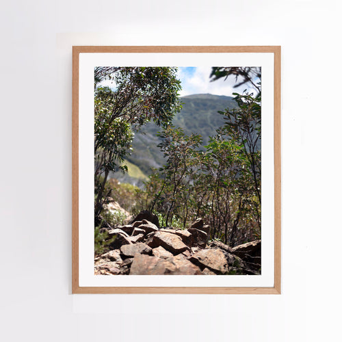 Photographic wall art (fine art print) of Little Buller track, with an Australian oak frame. Browse to find a frame and photo combination that suits your decor. 