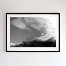 Load image into Gallery viewer, Near Pyramid Rock, Phillip Island. Lone seabird flying into a strong south wind (kareela). Framed in black, this dramatic piece is has a variety of uses.
