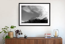 Load image into Gallery viewer, Near Pyramid Rock, Phillip Island. Lone seabird flying into a strong south wind (kareela). Framed in black, this dramatic black and white piece is has a variety of uses.
