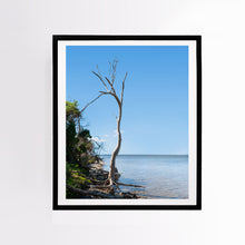 Load image into Gallery viewer, Floating Tree
