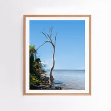 Load image into Gallery viewer, Floating Tree
